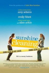 Sunshine_cleaning-203x300