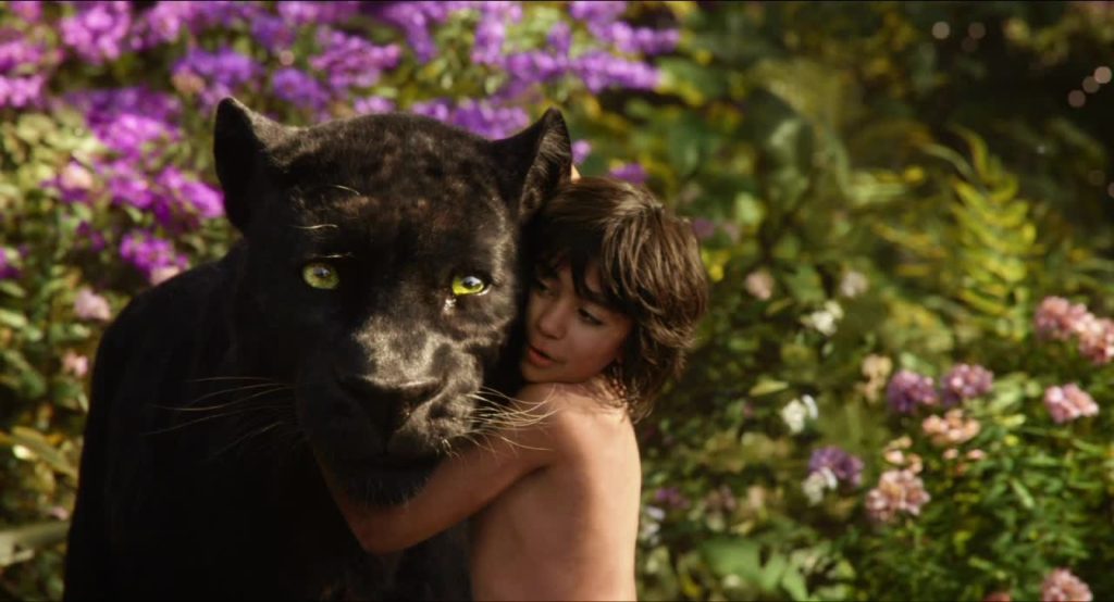 Jungle Book 1