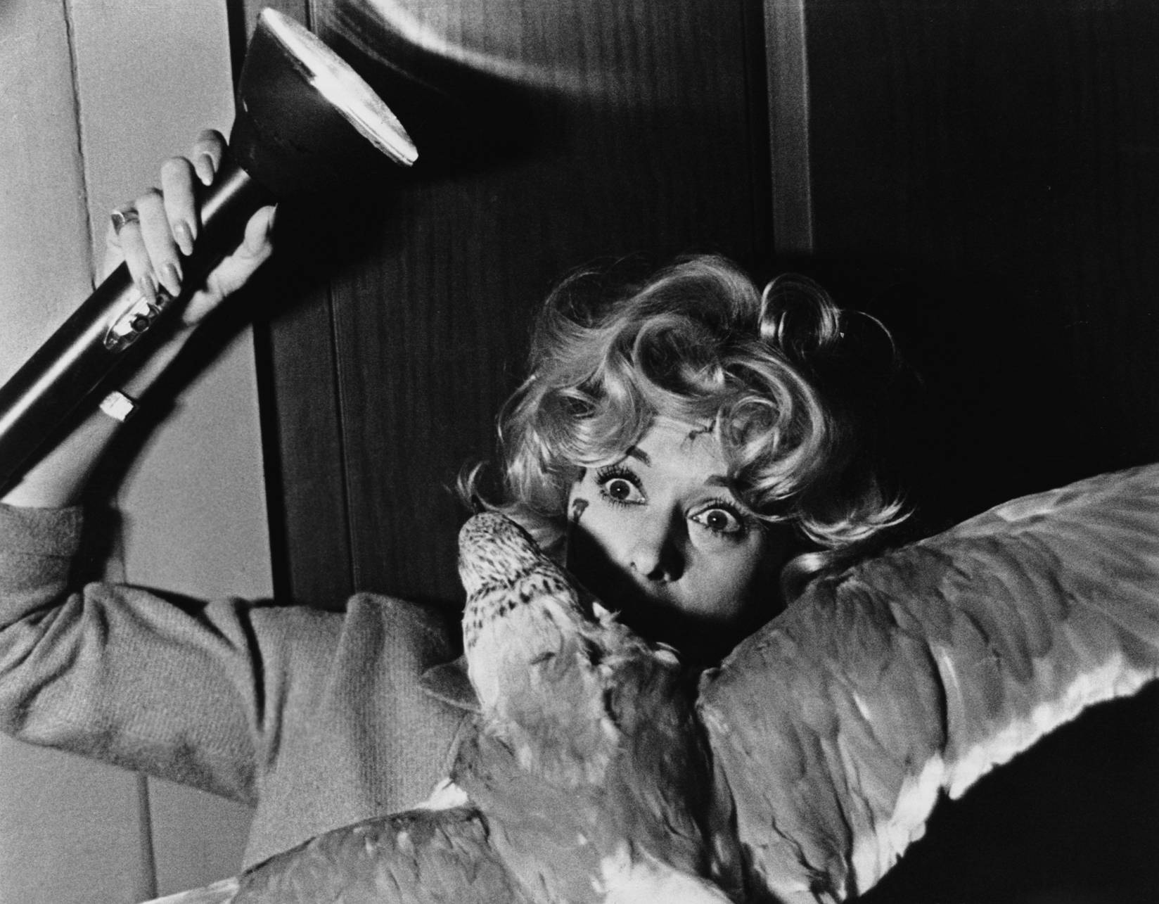 annex-hedren-tippi-birds-the_05