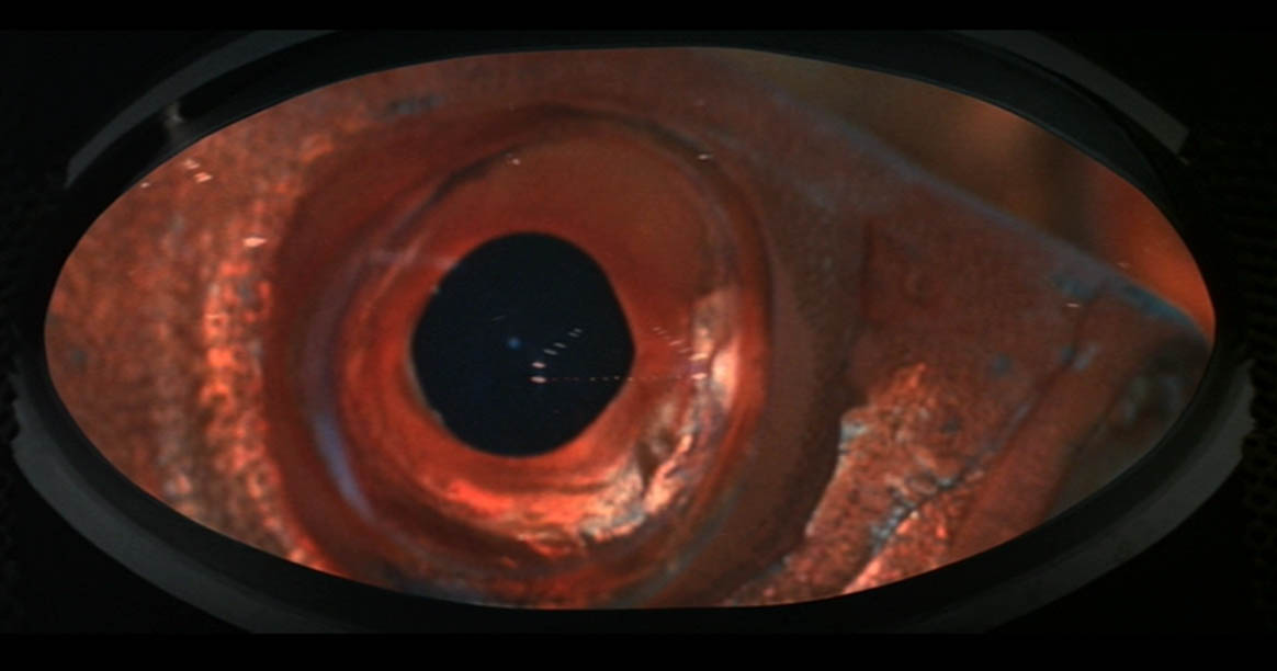 neptune-factor-giant-fish-eye