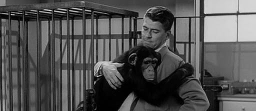 BEDTIME FOR BONZO (1951) – Blu-ray Review – ZekeFilm