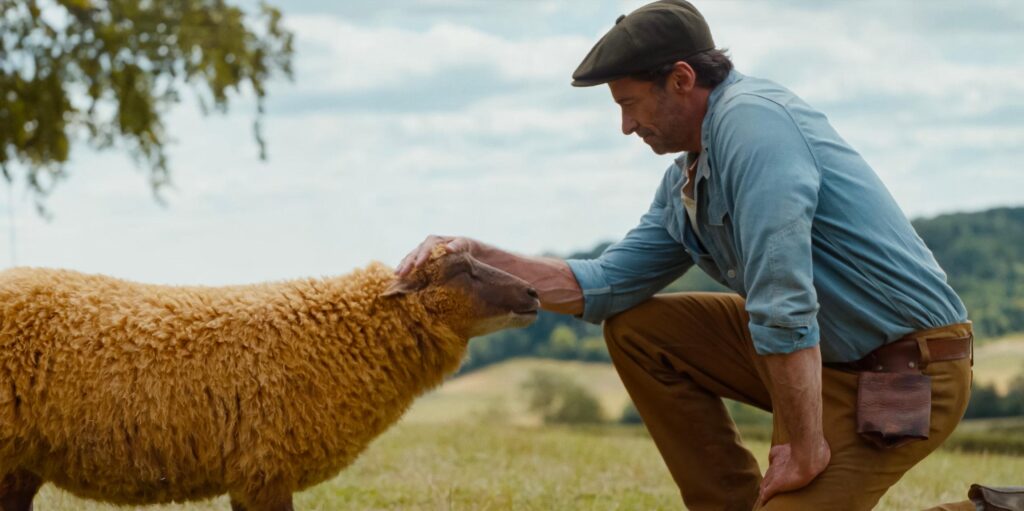 Hugh Jackman greets a sheep in THE SHEEP DETECTIVES (2026)